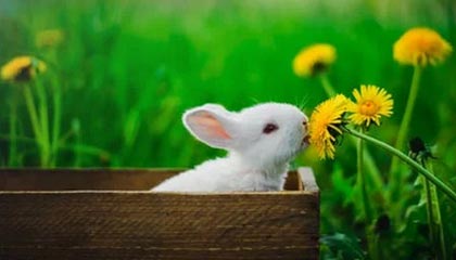 ayx体育下载-热刺客场负于阿森纳，德比失利，热刺德比对手