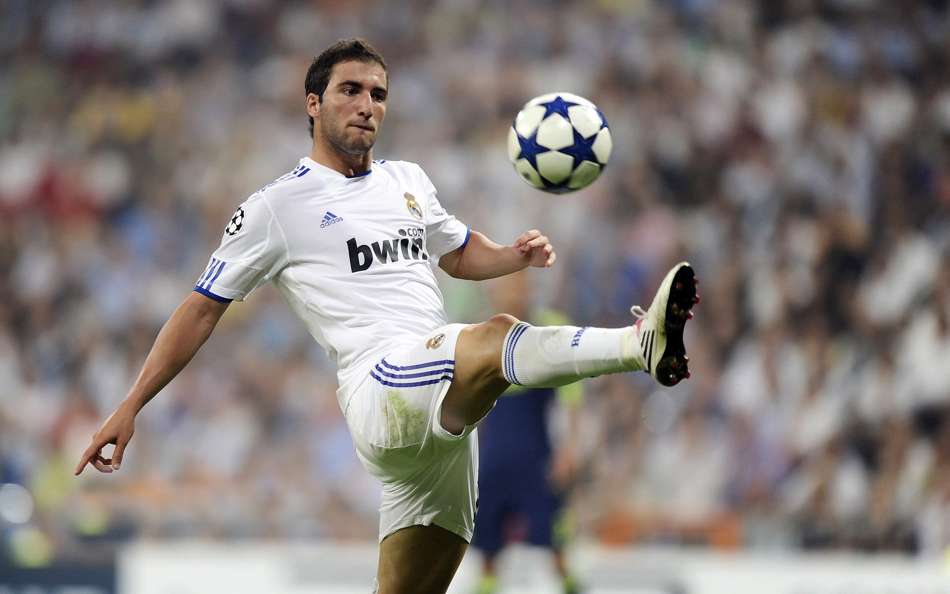 法甲2-1，球迷反应热烈，法甲 球队